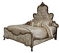 Platine de Royale Queen Panel Bed in Antique Platinum 09000QNPL3-101 image